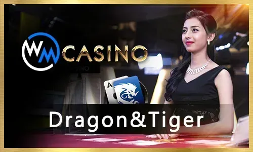 Online Casino Provider Logo